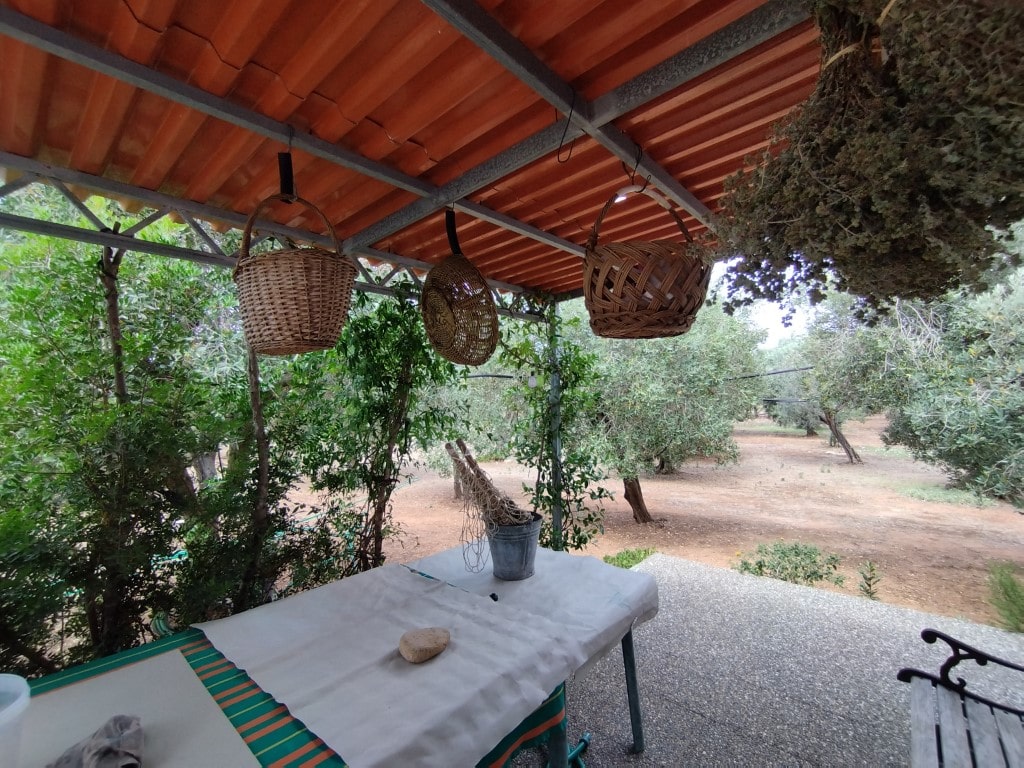 Giano Group Immobiliare